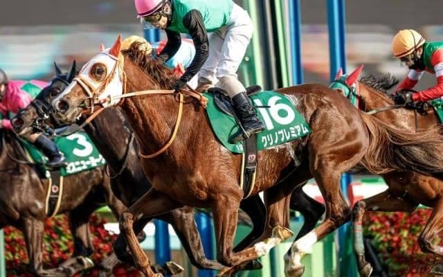 【福島牝馬S】クリノプレミアム、ステラリアらが登録