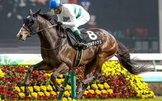 22日に新・京都競馬場がグランドオープン/今週の競馬界の見どころ