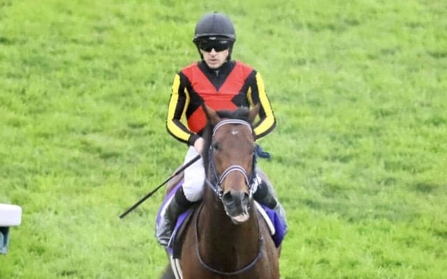 【マイラーズC登録馬】シュネルマイスターなど16頭