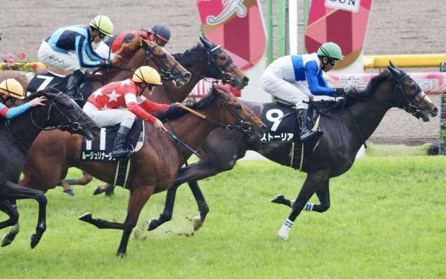 【福島牝馬S登録馬】ストーリアなど16頭