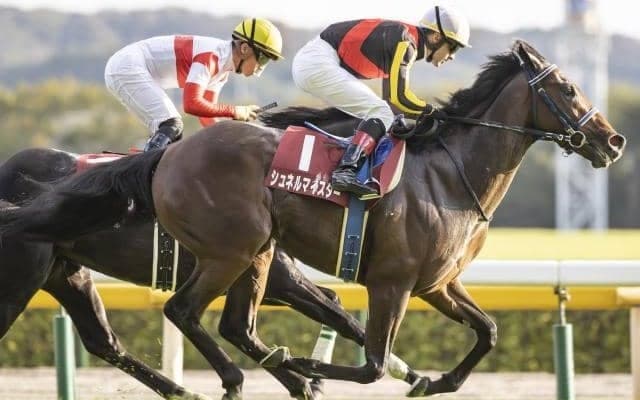 【マイラーズC見どころ】新・京都競馬場での最初の重賞を制すのは