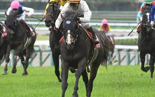 【AI予想・マイラーズC】新装京都で連覇達成!? 芝マイルのスペシャリストに妙味あり