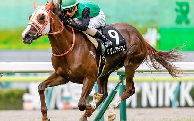 【福島牝馬S想定騎手】クリノプレミアムは柴田善臣騎手、ストーリアは横山武史騎手