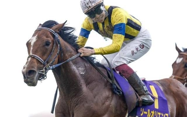 皐月賞馬ソールオリエンス 凱旋門賞の前売りオッズで5番人気タイの17倍に