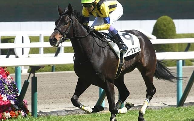 【フローラS想定騎手】ソーダズリングは戸崎圭太騎手、イングランドアイズは横山和生騎手