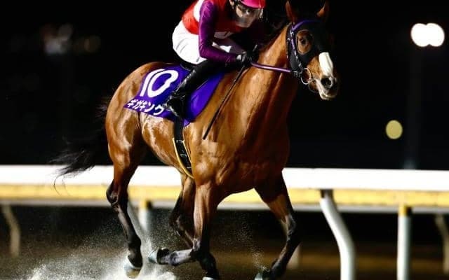 【大井・ブリリアントC枠順】前走で重賞5勝目飾ったギガキングは2枠2番