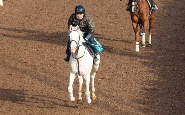 ブチコの2021(カルパ)など、先週の入厩情報/栗東トレセンニュース