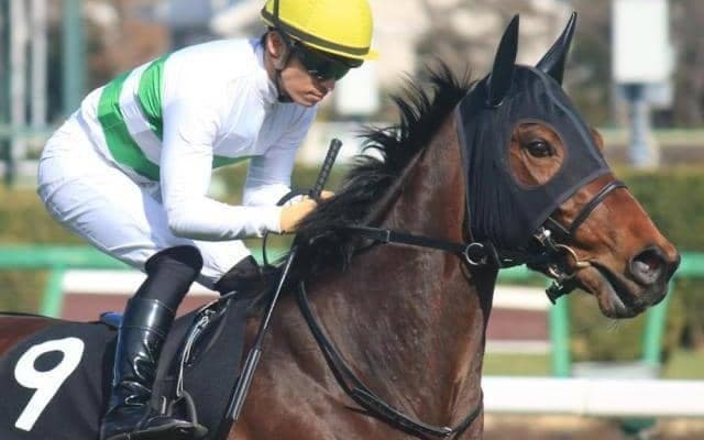 キセキの全妹が重賞初制覇に挑む 福島牝馬Sで偉大な兄に近づけるか