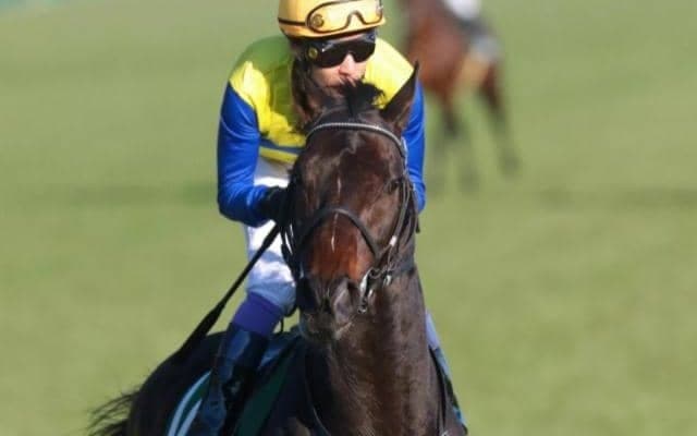 武豊騎手が29年ぶり3度目のマイラーズC勝利へ エアロロノアで2週連続重賞制覇狙う