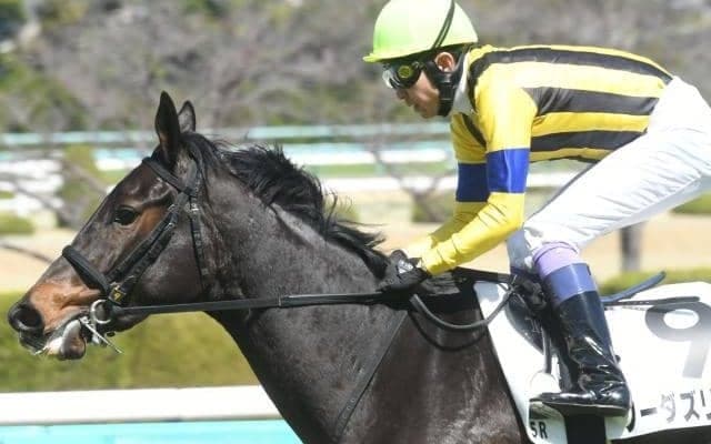 【フローラS予想オッズ】ソーダズリングが予想1番人気