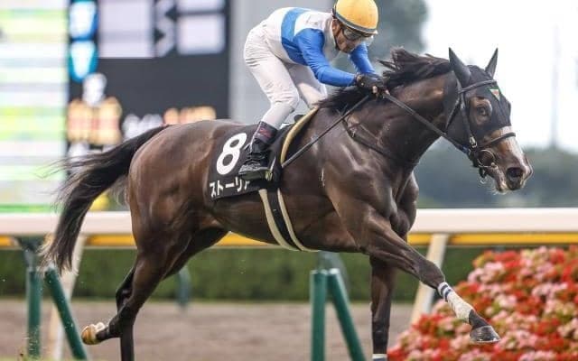 【福島牝馬S予想オッズ】ストーリアが予想1番人気