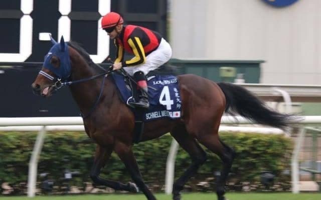 【マイラーズC予想オッズ】シュネルマイスターが予想1番人気