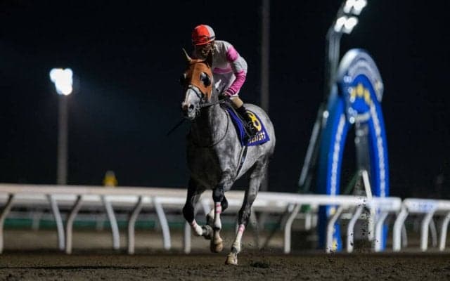 【東京スプリント】リュウノユキナは最内枠