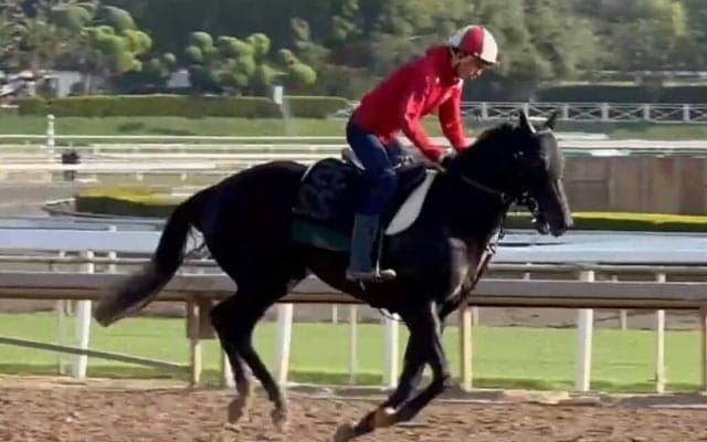 【ケンタッキーダービー】マンダリンヒーローは出走順位25番目…木村和士騎手とのコンビで出走目指す