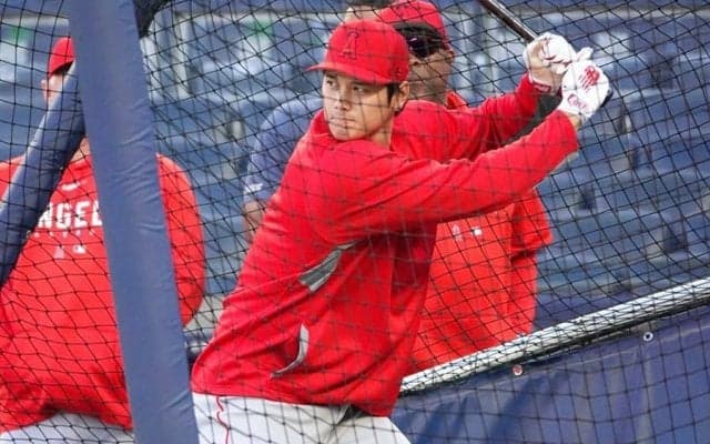 【MLB】大谷翔平、今季初フリー打撃で140m弾　20スイング12発…NYメディア騒然「オーマイガー」