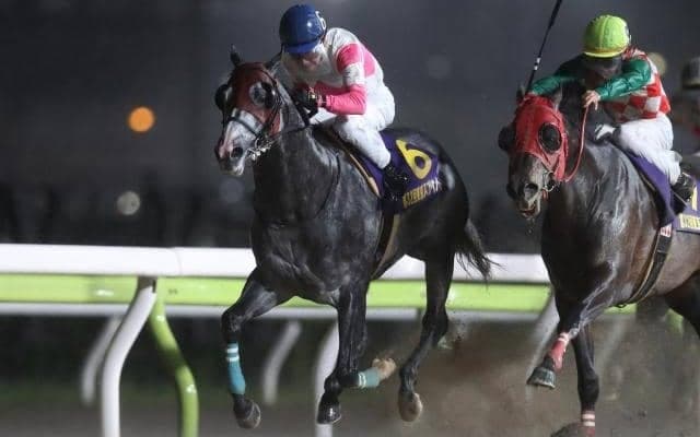 【東京スプリント注目馬】JBCスプリントを占う一戦 リュウノユキナ2年ぶり勝利なるか