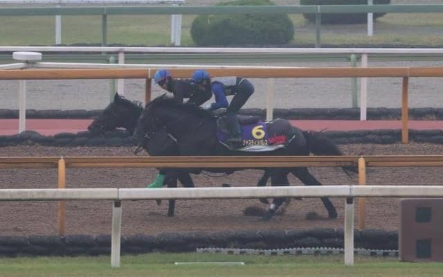 ジャスティンパレス、天皇賞(春)1週前追い切り速報/栗東トレセンニュース