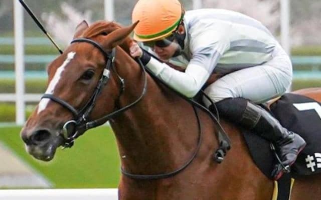 鮫島良太騎手が好走続くキミノナハマリアでフローラS参戦 バッチリの相性生かせるか