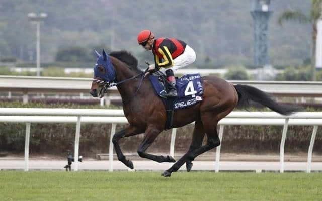 【マイラーズC展望】新・京都競馬場の重賞第一弾、開幕週でスピード必須