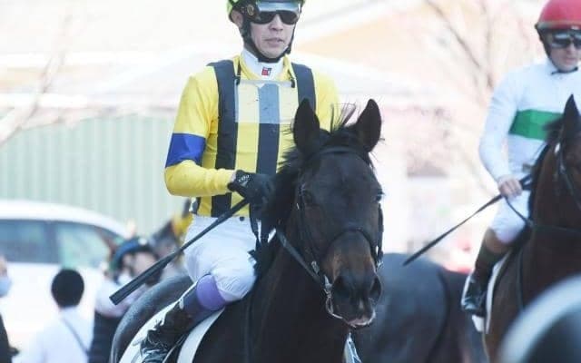 【フローラS出走馬・騎手確定】ソーダズリング＆戸崎圭太騎手、ドゥムーラン＆レーン騎手など15頭