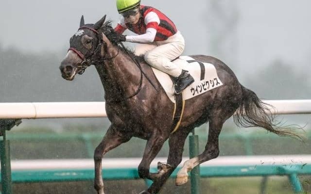 ゴールドシップ産駒大得意の福島芝1800m 福島牝馬Sに注目の1頭が参戦
