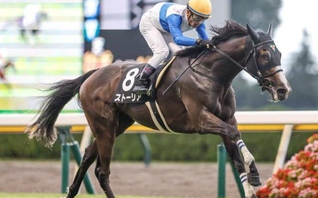 【福島牝馬S出走馬・騎手確定】ストーリア＆横山武史騎手、クリノプレミアム＆柴田善臣騎手など15頭