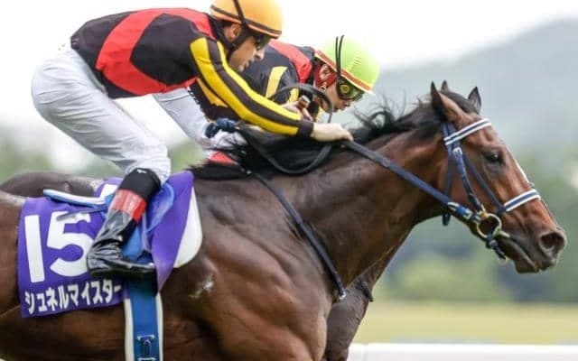 【マイラーズC出走馬・騎手確定】シュネルマイスター＆ルメール騎手、ソウルラッシュ＆松山弘平騎手など15頭