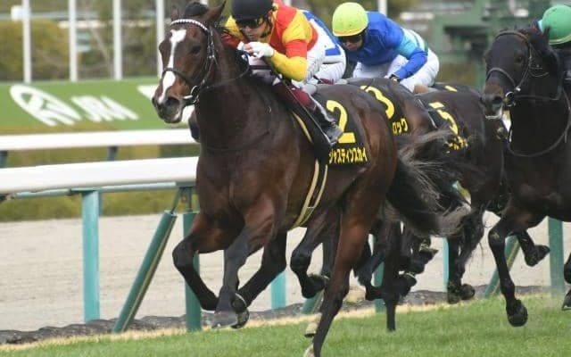 マイル転向後上がり3F33秒台で3連勝中 注目のキタサン産駒が川田騎手とマイラーズCに