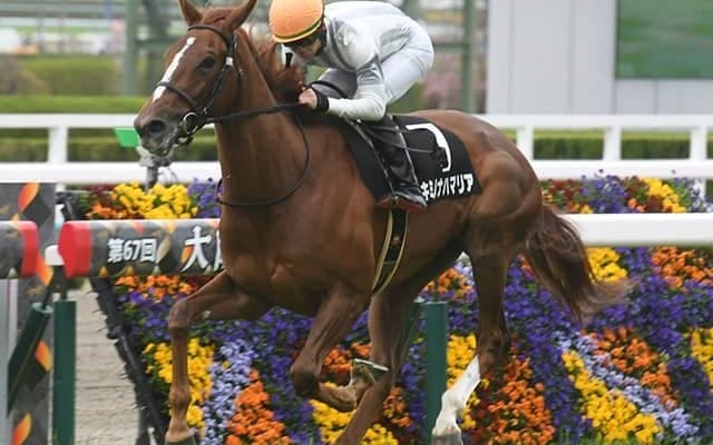 好調の千田輝彦厩舎が8年ぶりJRA重賞Vへ フローラSにメンバー唯一のオープン馬で参戦