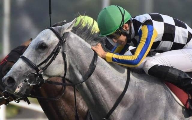 全国リーディング躍進中の西村淳也騎手 2日連続の重賞Vへ実力馬2頭に騎乗