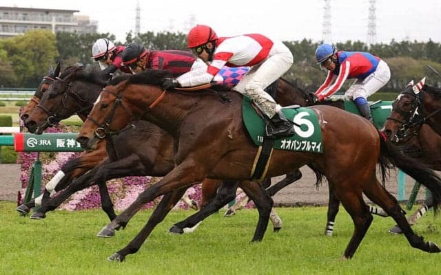 【アーリントンC】武豊 オオバンブルマイの直線一気が炸裂
