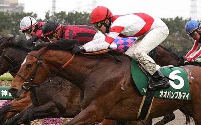 【アーリントンC】武豊「外に出てからギアが入った」オオバンブルマイが重賞2勝目