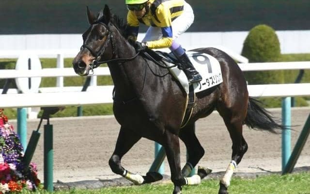 【フローラS枠順確定】ソーダズリングは2枠2番、ブライトジュエリーは1枠1番