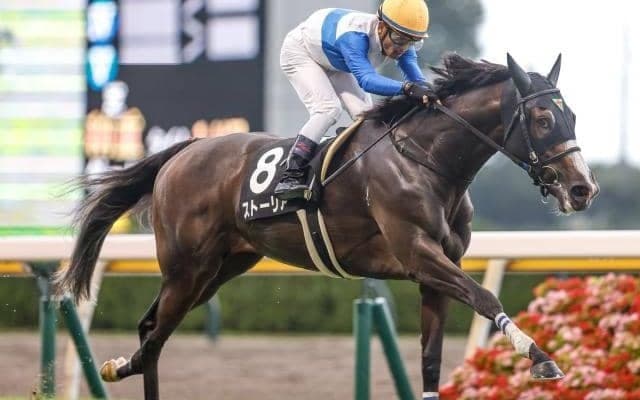 【福島牝馬S枠順確定】ストーリアは7枠13番、クリノプレミアムは6枠11番