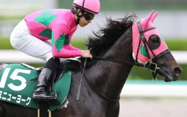 小回り1800mはベスト舞台 福島牝馬Sはミスニューヨークが差し切る