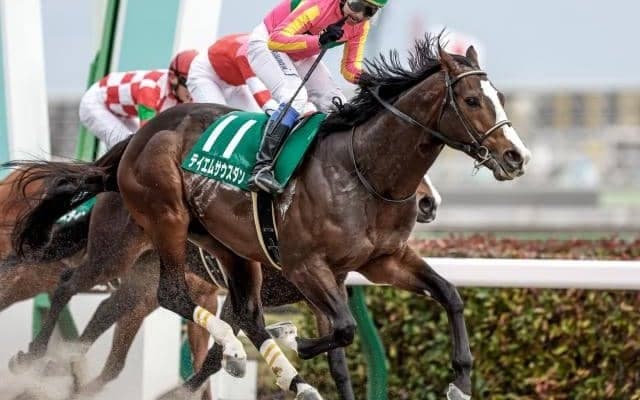 【かきつばた記念ハンデ】テイエムサウスダンは61kg、フェブラリーS4着のドライスタウトは58.5kg