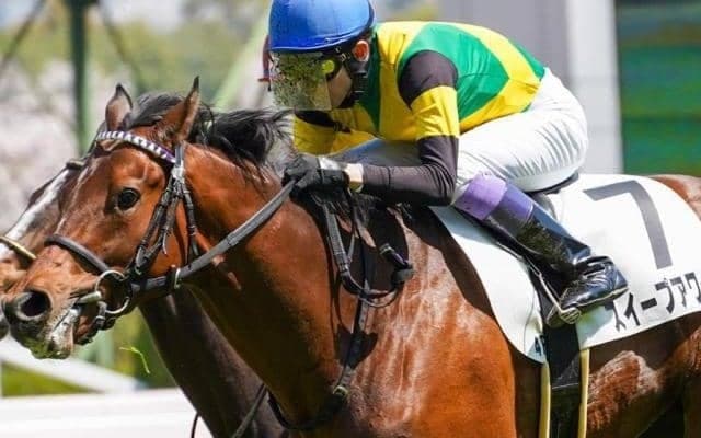 2.3億円馬や武豊騎手鞍上の“ディープ最後の仔”参戦 新京都の開幕レースは見どころ満載