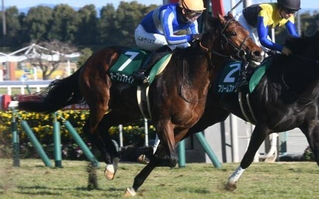 ディープのラストクロップがダービー出走をかけ参戦 青葉賞出走想定馬17頭