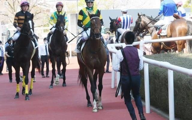 【今日の注目ポイント】京都競馬場がリニューアルされ2年半ぶりに再開