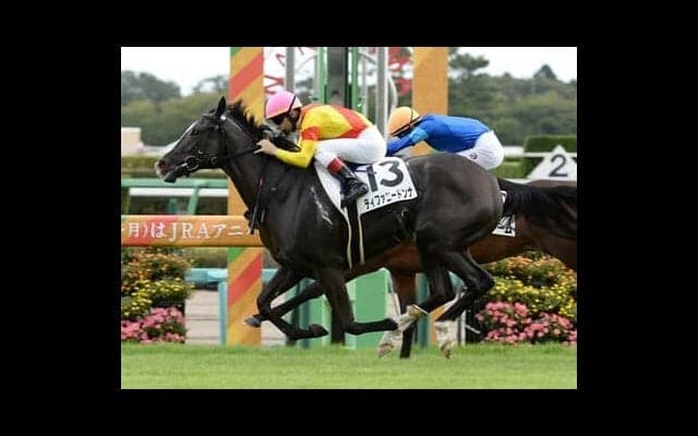 フローラＳで本命に推すのは牝系の血統がゴージャスな２頭 ここからオークスへと羽ばたきそうなのは？