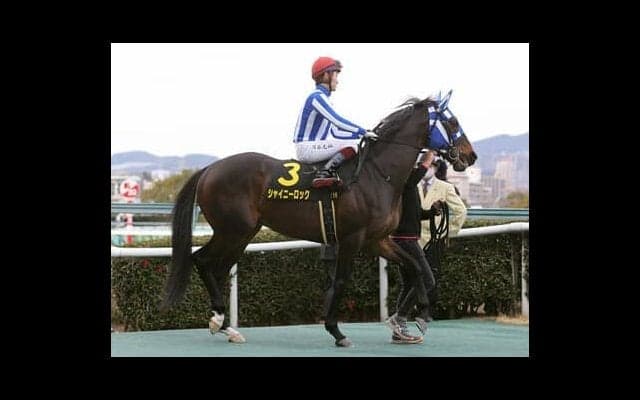 マイラーズＣは新装・京都のクッションの利いた馬場に合いそうな伏兵２頭の大駆けに要注意
