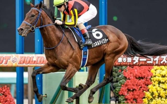 馬場好転で絶好の狙い目！ 堅軸シュネルマイスターの相手として面白い穴馬候補