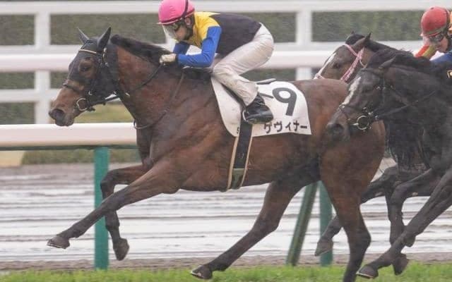2年ぶりの実戦復帰 期待の素質馬ゲヴィナーが復帰戦を勝利で飾る