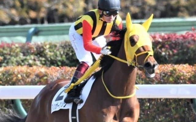 馬体から光る良馬場ダート適性 パワー型のフィンガークリックが２勝目を狙う