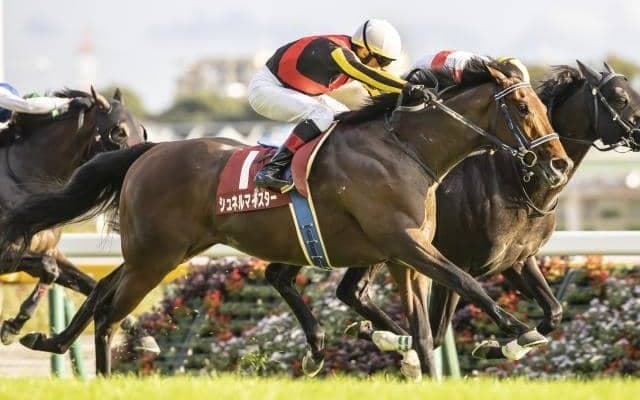 【マイラーズC前日オッズ】シュネルマイスターが2.5倍で1番人気