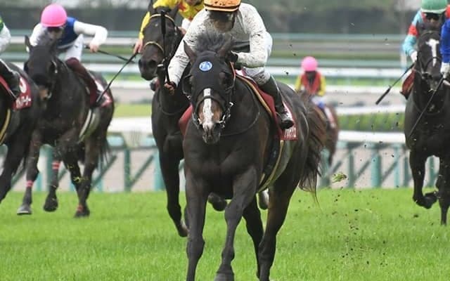 【AI予想・マイラーズC】GI馬よりも評価は上！ 人工知能が太鼓判を押す本命馬とは