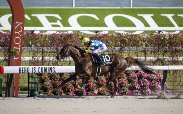 【京都競馬場グランドOP記念】池添謙一騎乗、ドンフランキーが逃げ切る