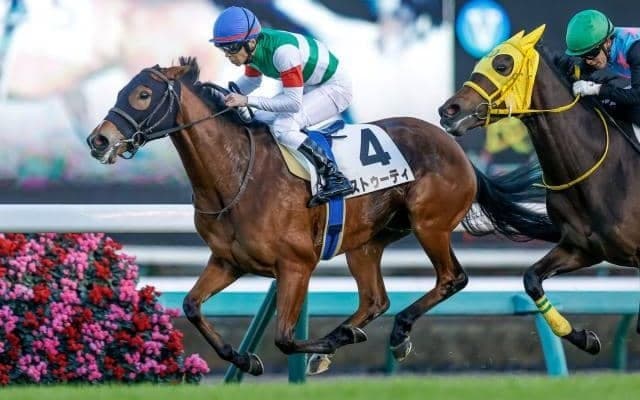 福島牝馬S出走のストゥーティは鼻出血発症 22日の出来事一覧/福島・東京・京都