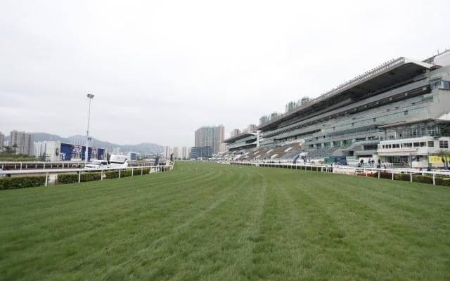【海外競馬】2023香港チャンピオンズデーはグリーンチャンネルで無料放送