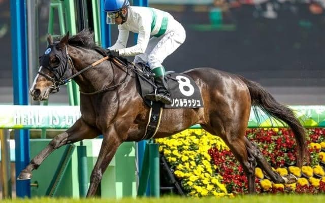 【今日の注目ポイント】オークスTRのフローラS 新装京都の開幕重賞マイラーズC